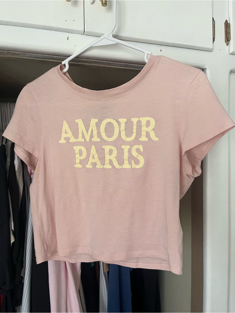 H&M Paris Pink Graphic Crop Tee
